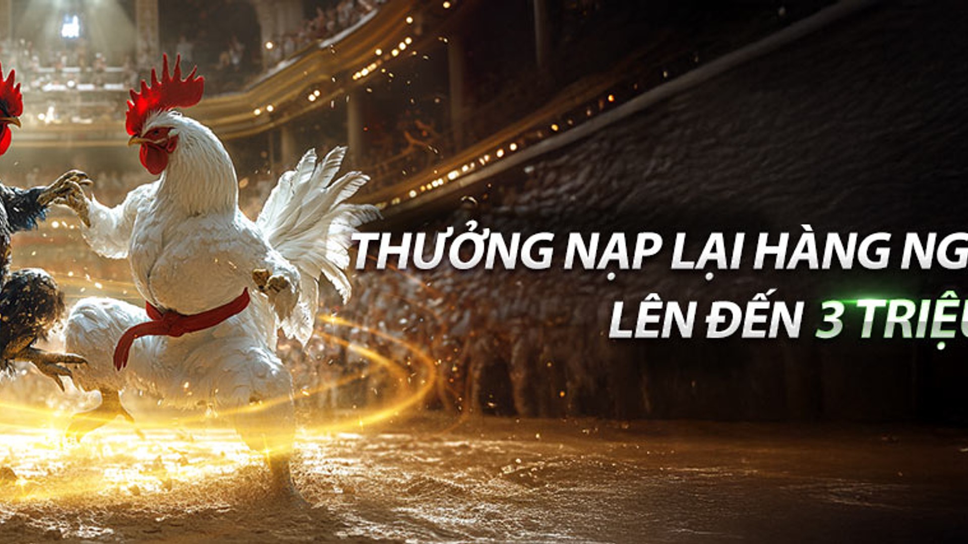 Đá gà alo 789 - Sân đấu kịch tính